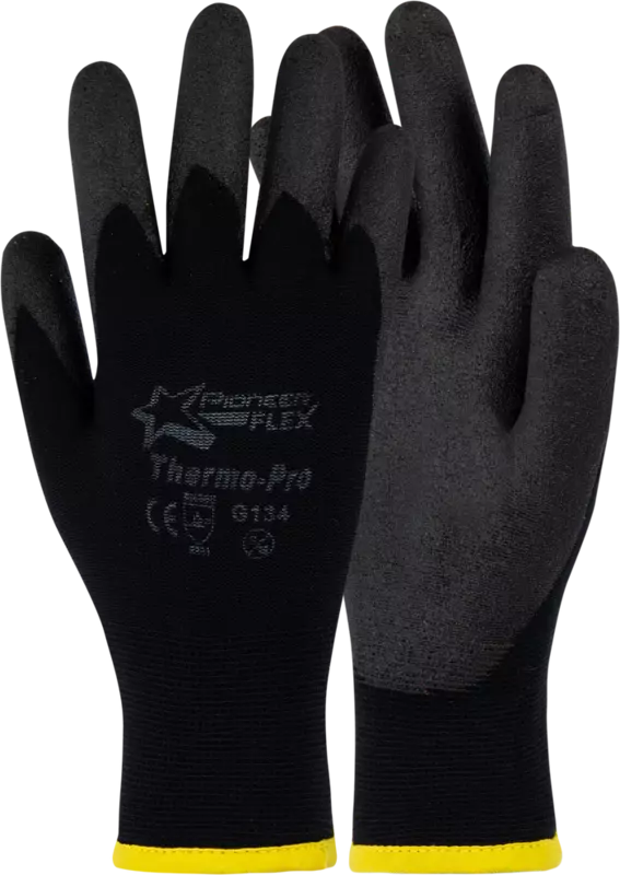 Pioneer Thermo Pro