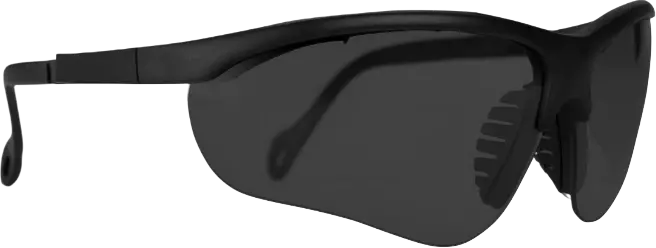 Pioneer Vision Classic Spectacle