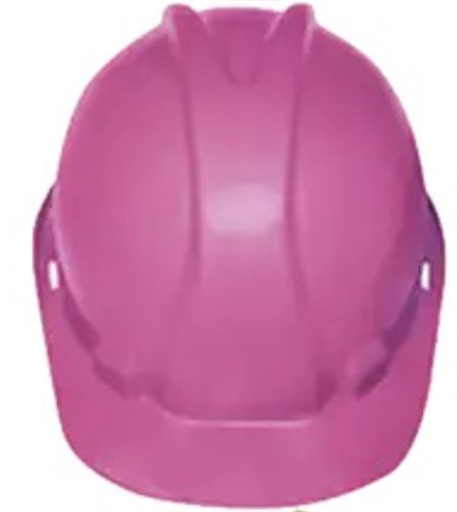 Pinnacle Safety Hard Hats