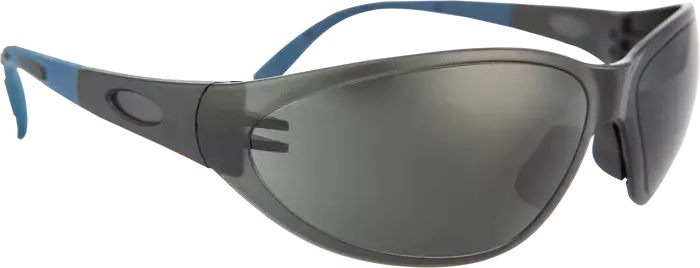 Pioneer Vision Spider Spectacle