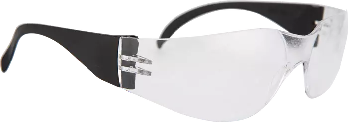 Pioneer Vision Spider Spectacle